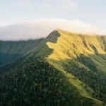 Mont Nimba : réserve classée, biodiversité et accès réglementé