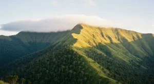 Vue du massif du mont Nimba avec ses prairies d'altitude et sa forêt dense sur les versants