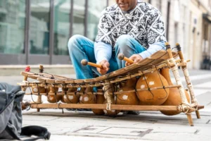 Musicien jouant de la kora lors d'un concert en Guinée